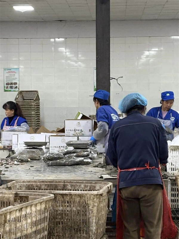 新疆的海鮮、甘肅的蝦 農(nóng)業(yè)大摸底太精彩了
