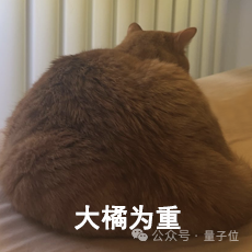貓貓的運動方程：首次被物理學家破解了！