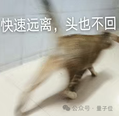貓主子的運(yùn)動(dòng)方程 首次被物理學(xué)家破解！