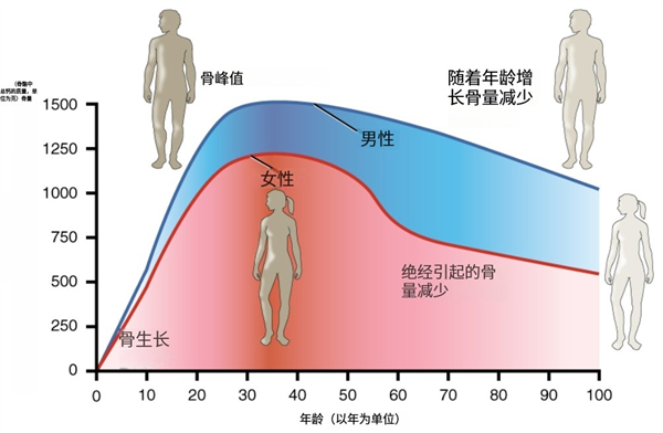 不想老了骨質(zhì)疏松 勸你多吃這5種食物 尤其女性！