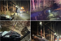 為躲鹿不慎沖出車道墜河：特斯拉Model X護兩人安全
