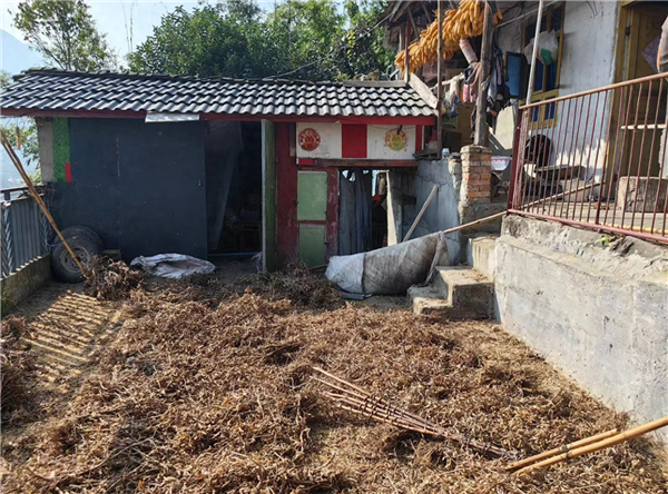 黑熊闖村民家行兇被58歲老漢持斧擊殺：尸體將用于高校科研