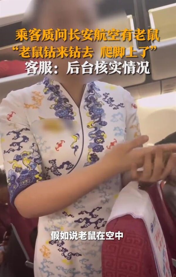 旅客稱老鼠在飛機上亂竄 長安航空回應(yīng)：已做捕鼠消殺處理