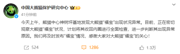旅韓回國大熊貓“福寶”狀況異常 官方通報：計劃將其收回內(nèi)圈