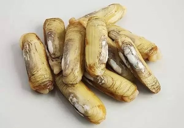 蟶子在泥沙中挖掘過程有點(diǎn)邪惡 這種美食有著極強(qiáng)的防御