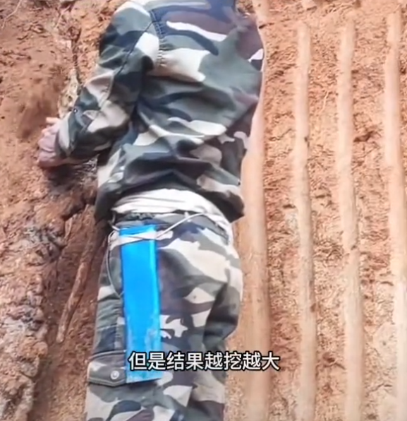 四川男子發(fā)現(xiàn)巨型野生山藥：越挖越大 后請來挖掘機