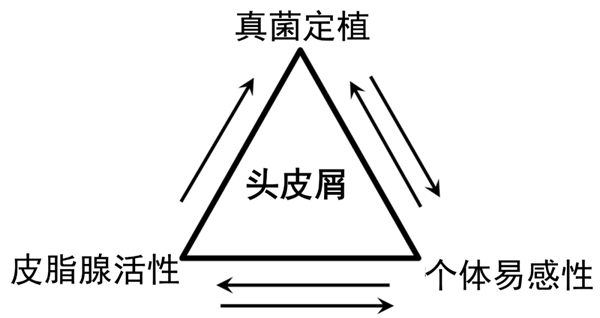 洗頭忽略了這一點(diǎn) 頭皮屑永遠(yuǎn)洗不干凈！