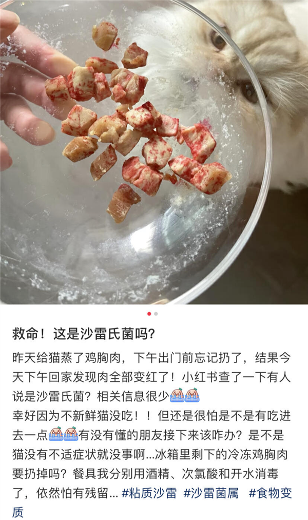 好可怕！為什么馬桶里總是有一圈紅色啊啊啊