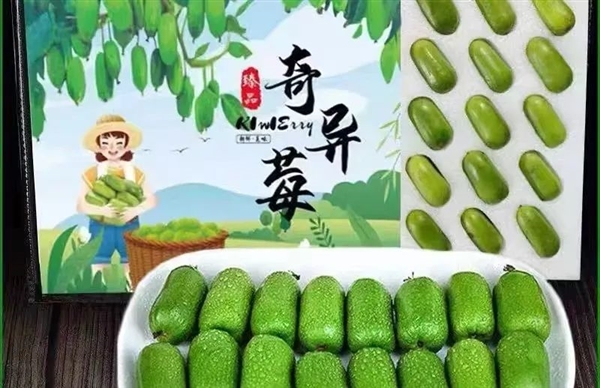維C含量是橙子6倍！這種長得像棗的水果 竟是獼猴桃