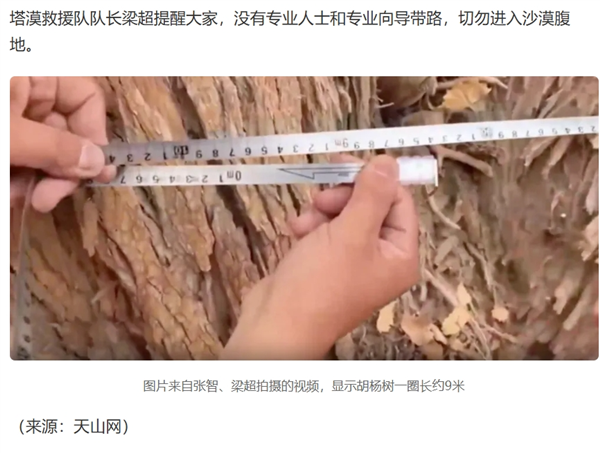 塔克拉瑪干沙漠驚現(xiàn)周長9米的巨型胡楊！為何如此強悍