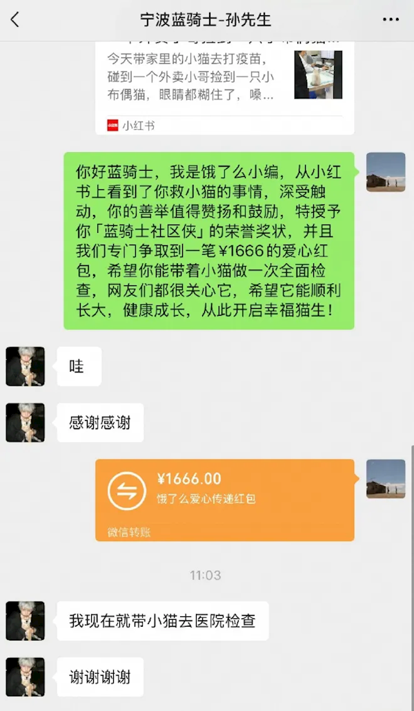 外賣小哥路上救助生病流浪貓 獲贈(zèng)1666元 授予“俠”證書
