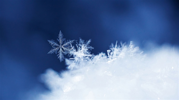 上海下雪了 氣象局：冷鋒過境撞上水汽 維持時間較短