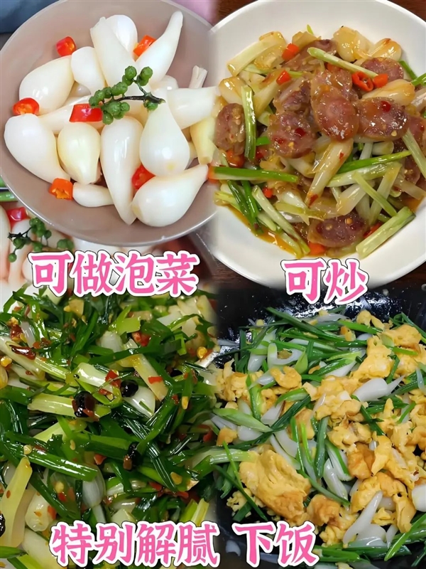 荸薺、蕺菜、藠頭：見過吃過聽過 但就是不會讀