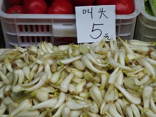 荸薺、蕺菜、藠頭：見過吃過聽過 但就是不會讀