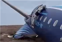 阿航客機(jī)墜毀致38人遇難 事故原因或與鳥(niǎo)群相撞 專(zhuān)家分析