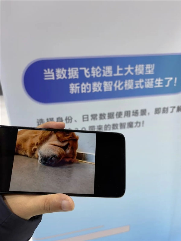 00后整頓不了的職場 它能