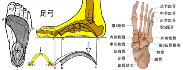 雪地靴又上熱搜！經(jīng)常穿真的很傷腳 醫(yī)生緊急提醒