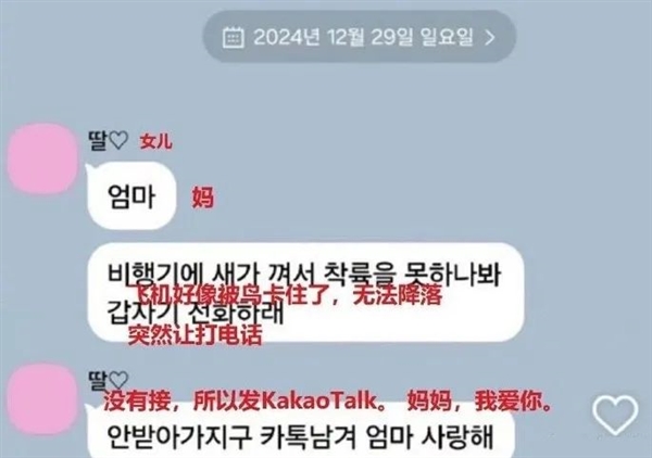 都快2025年了 為什么韓國這飛機(jī)還會撞鳥