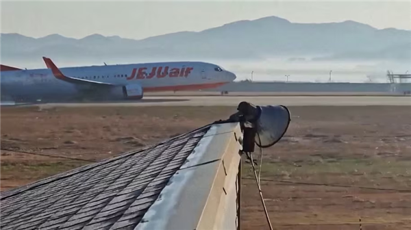 都快2025年了 為什么韓國這飛機(jī)還會撞鳥