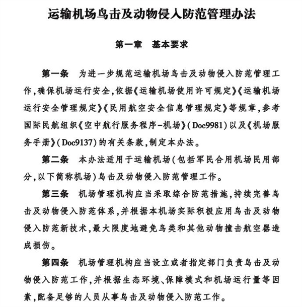 都快2025年了 為什么韓國這飛機(jī)還會撞鳥