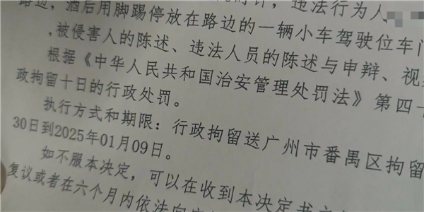 小米SU7停路邊被踢了一腳 哨兵模式立功！踢車男子被送進(jìn)拘留所跨年