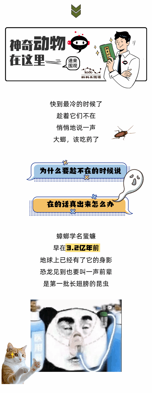 天冷了 大螂 該吃藥了