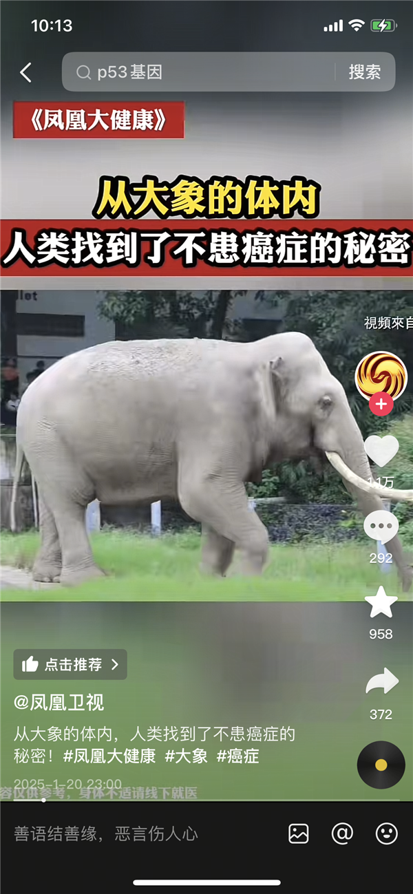 從大象的身體內(nèi) 人類找到了不患癌癥的秘密！