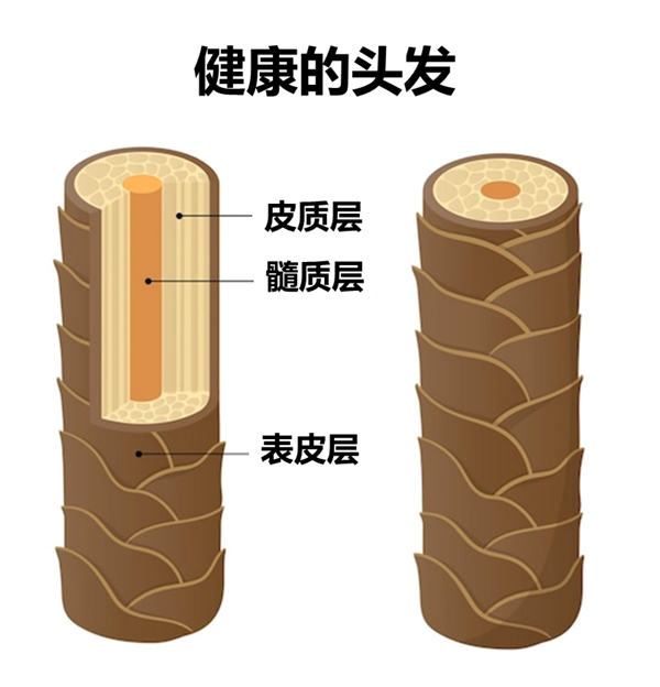 聽我的！3類人過年?duì)C發(fā)一定要慎重