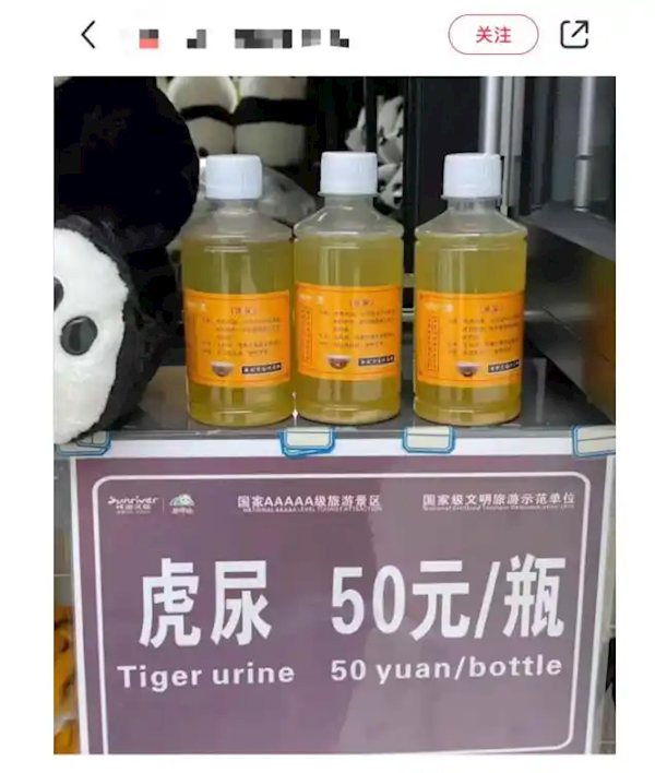 四川一動物園賣老虎尿：一瓶50元 稱可內(nèi)服