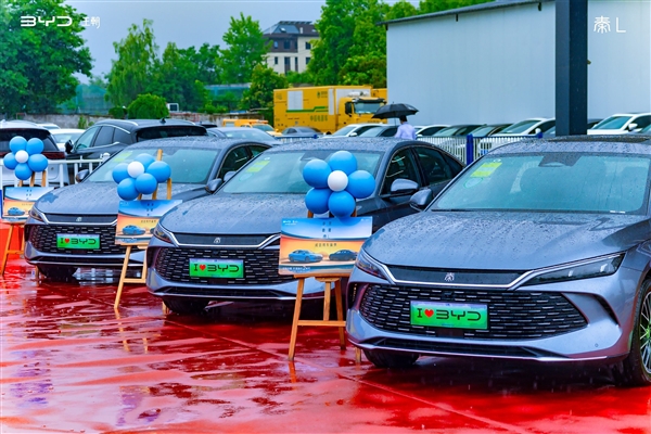 2024年全新上市車型銷量榜：比亞迪秦L第一 一年狂賣228818輛