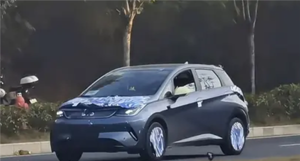 天神之眼智駕上車！新款比亞迪海豚實車曝光
