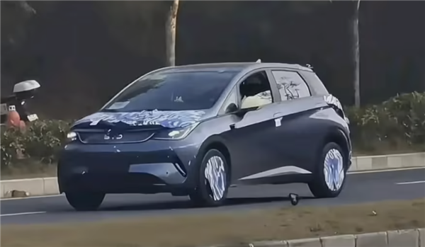 上市四年來首次改款：2025款比亞迪海豚實(shí)車曝光