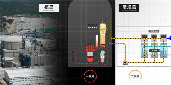 能給600萬人供電的核電站 是怎么保證安全的
