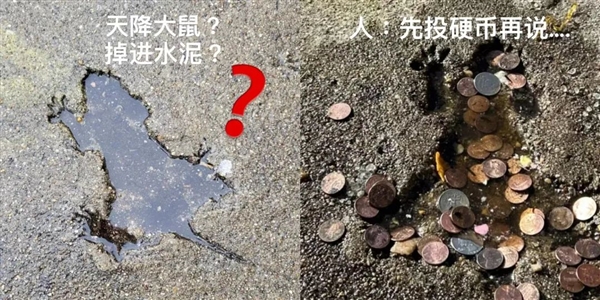 水泥地被老鼠砸出個坑 竟成網(wǎng)紅打卡點：甚至還有人投幣！
