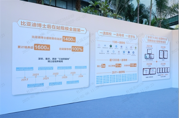 比亞迪 2024 年全球銷量三冠王 彰顯新能源汽車領(lǐng)軍實力