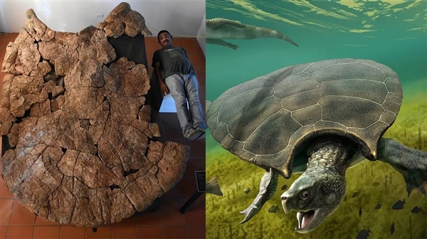 巨獸之地：地球史上獨特的生物群落 各種動物大到離譜