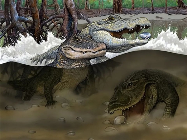 巨獸之地：地球史上獨特的生物群落 各種動物大到離譜