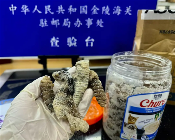海關(guān)查獲1.2公斤生腌響尾蛇：被藏在零食罐 氣味熏人