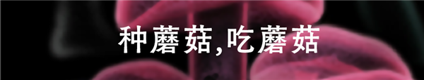 在吃下蘑菇之前 我已經(jīng)中了蘑菇的毒