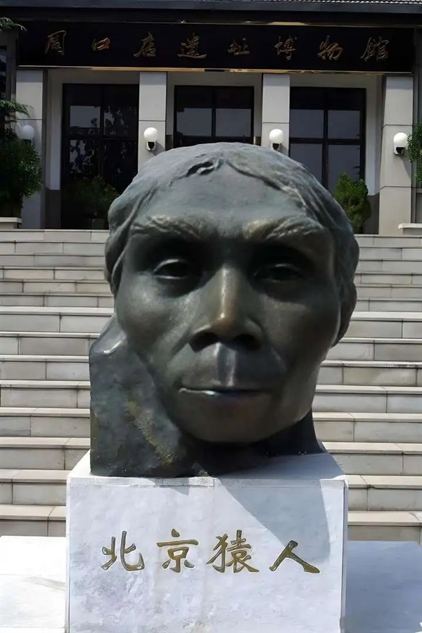 都說非洲是人類的起源地 但為什么非洲文明落后呢