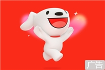 支持電視端！愛奇藝白金年卡+京東PLUS年卡限時249元