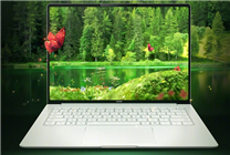 視覺(jué)體驗(yàn)大升級(jí)！榮耀MagicBook Pro 14用上3.1K綠洲護(hù)眼屏