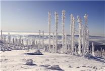 氣溫暴跌18℃以上！中央氣象臺多個黃色預(yù)警來了：寒潮、暴雪、大霧