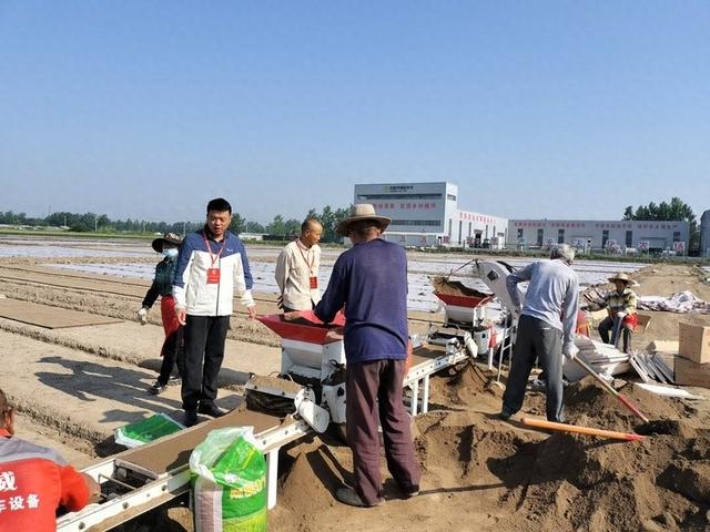 邳州合作社：農(nóng)業(yè)現(xiàn)代化的踐行者，賈強(qiáng)與他的機(jī)插秧合作社：助力糧食保障