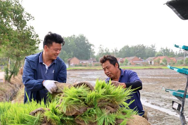 邳州合作社：農(nóng)業(yè)現(xiàn)代化的踐行者，賈強(qiáng)與他的機(jī)插秧合作社：助力糧食保障