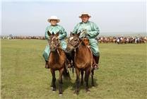 為什么蒙古人要去套馬 原來蒙古的馬各司其職