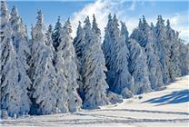山航在暴雪中起降是否安全 專家分析