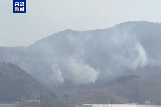 日本遭遇50年來嚴(yán)重山火：過火面積相當(dāng)于3600個(gè)足球場