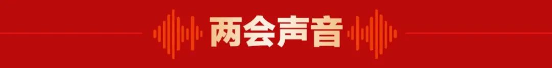 〈哪吒2〉在兩會：委員們?nèi)绾慰创@部熱門影片