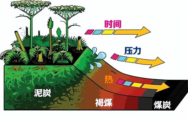 亞洲大露天煤礦 百米厚煤層足足開采了118年！古代植物咋都埋那了